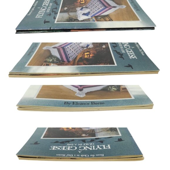 May Basket Flying Geese Eleanor Burns 1988 1992 Quilt In A Day Paperback Books - Picture 7 of 14